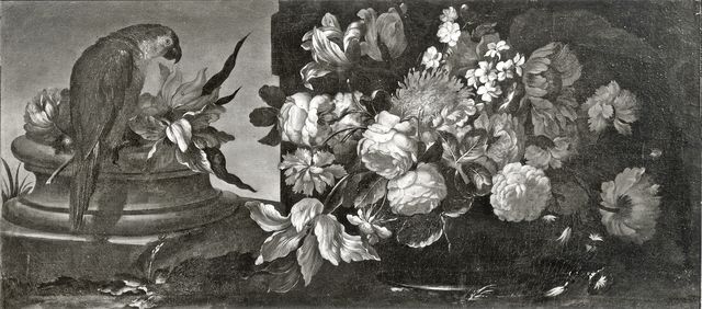 Anonimo — Scacciati Andrea - sec. XVII/ XVIII - Natura morta con fiori e pappagallo — insieme